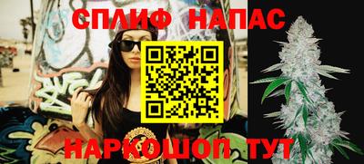 прущие грибы Обь