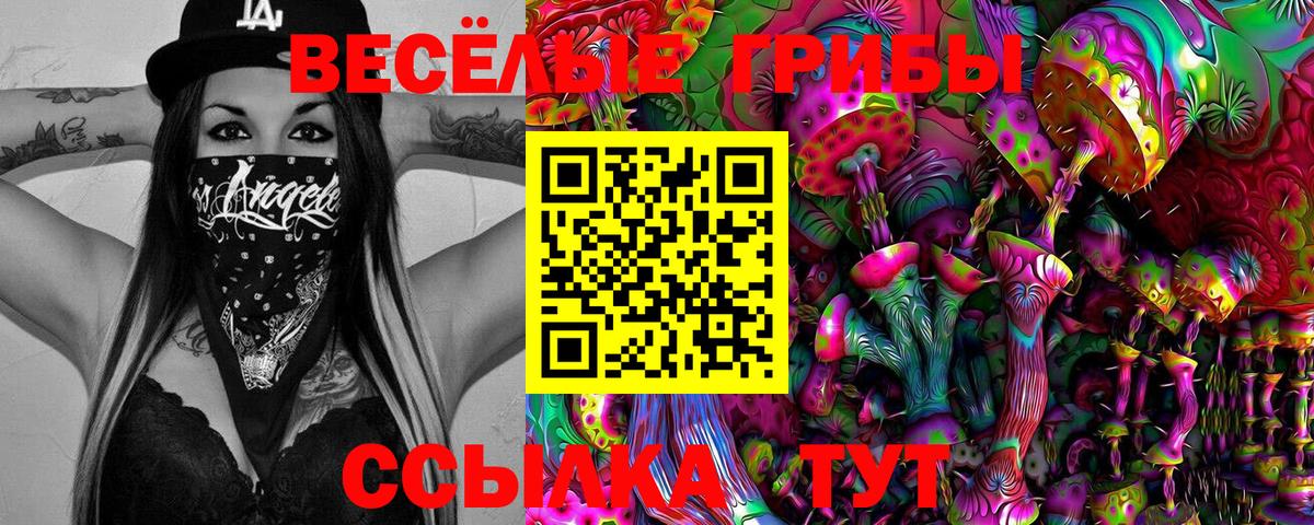 Псилоцибиновые грибы Magic Shrooms  закладка  Старая Купавна  Вход с VPN 
